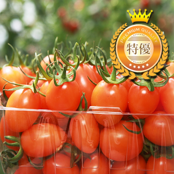 【金鑽級-特優賞】露天摘種 - 橙蜜香牛奶蕃茄